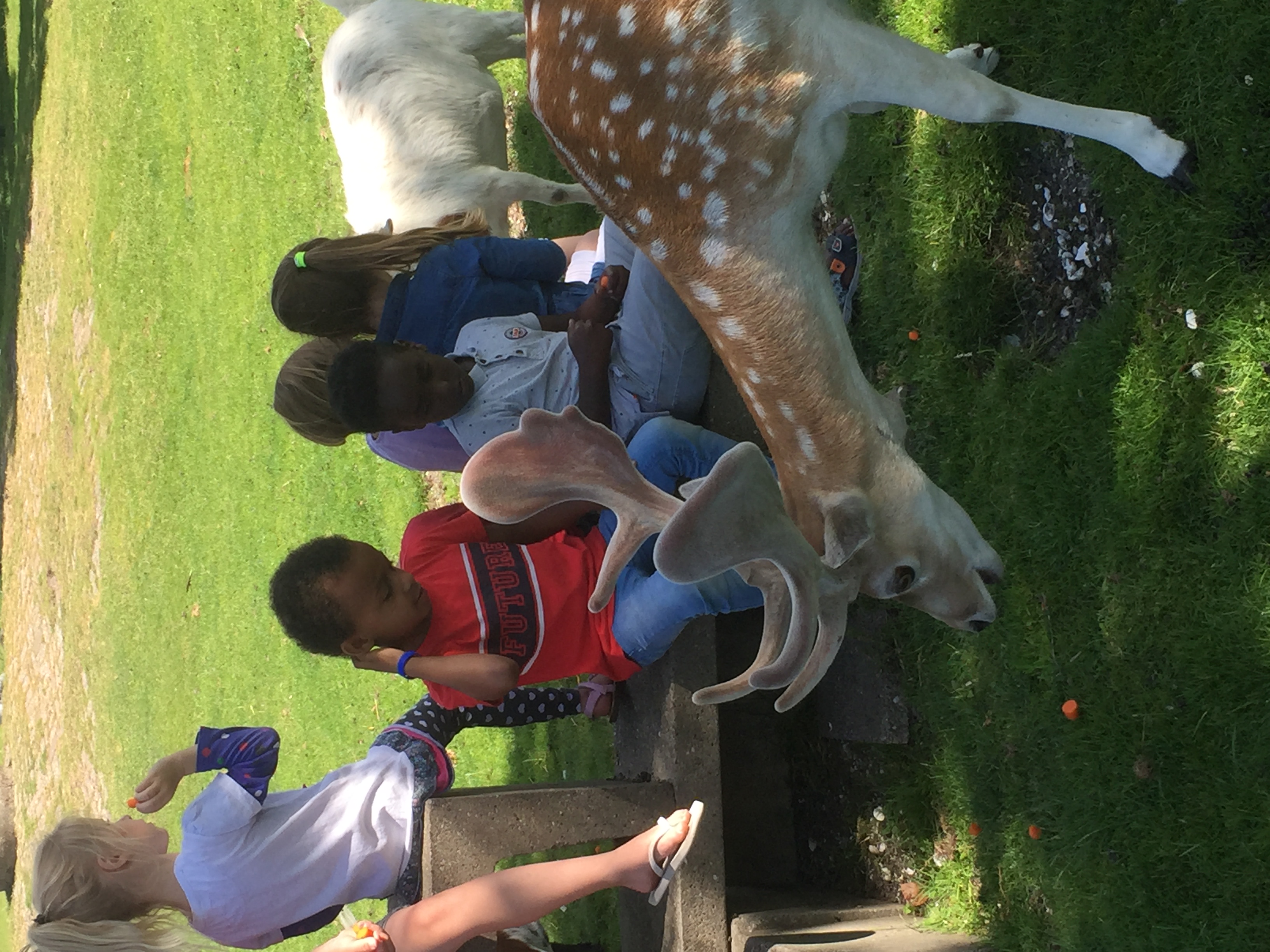 Bezoek kinderboerderij de Regenmortel