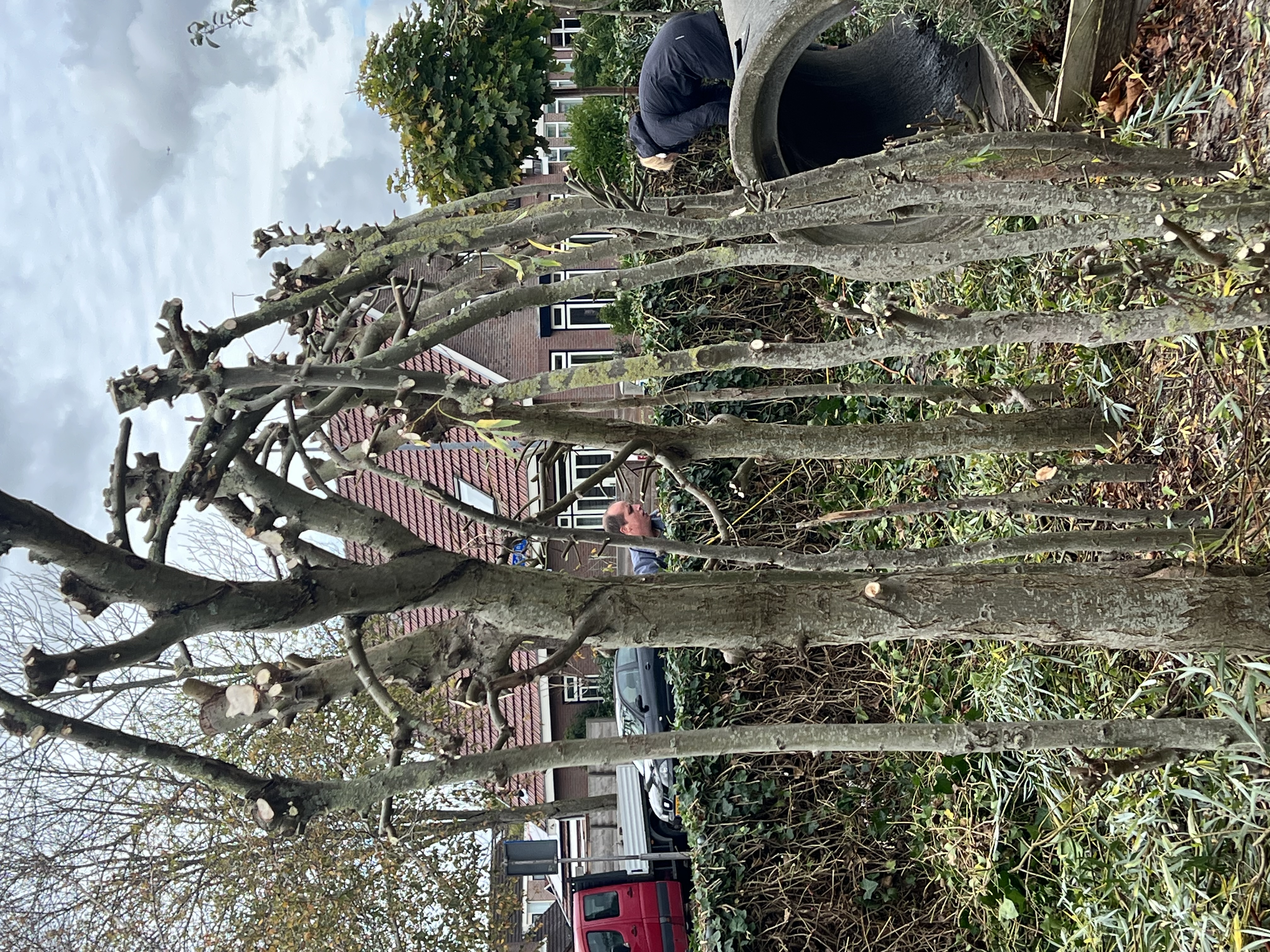 De tuin is weer winterklaar!