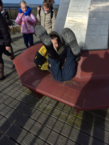 Foto's kleine beestjes excursie